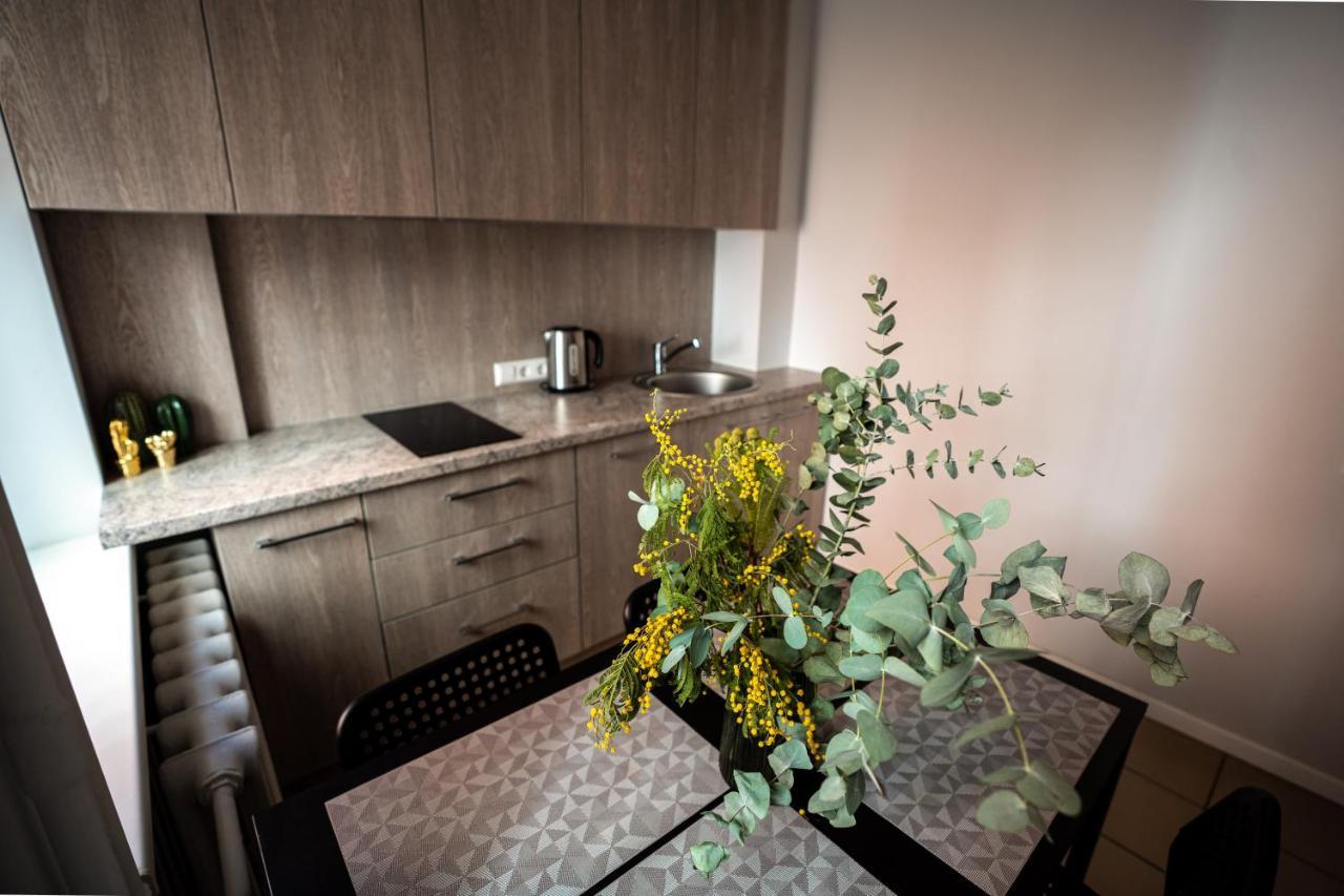 Lovely Apartment In The City Center Kaunas Bagian luar foto